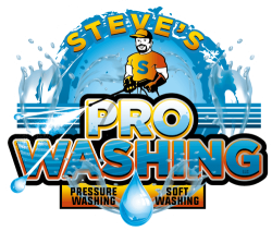 Pressure Washing DeSoto County