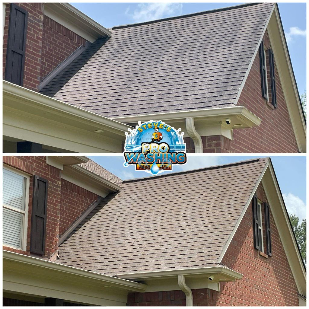 Roof Cleaning DeSoto County MS